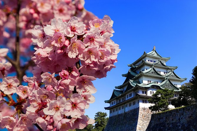 Nagoya Private Tours With Locals: 100% Personalized, See the City Unscripted - Booking Details