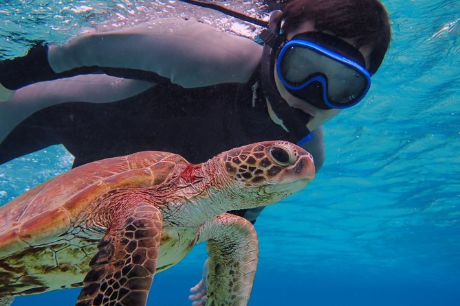 [Okinawa Miyako] SUP / Canoe + Sea Turtle Snorkeling !! (Half-Day Course) - Group Size and Contact Information