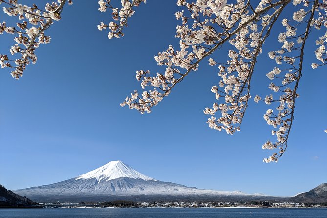 Private Car Tour to Mt. Fuji Lake Kawaguchiko or Hakone Lake Ashi - Reviews
