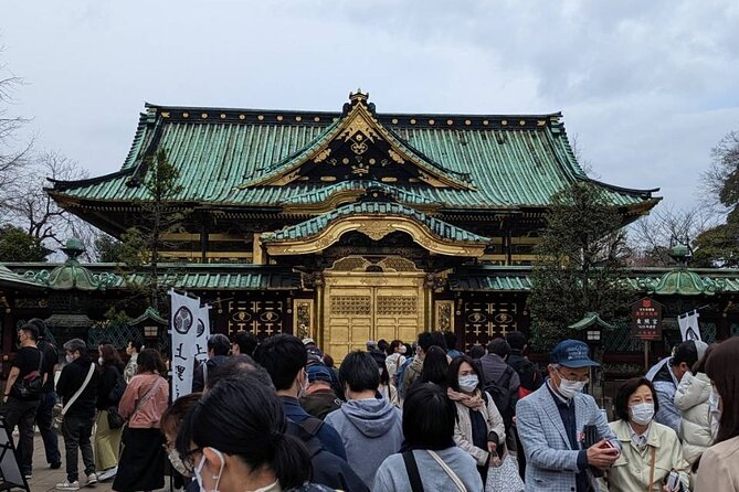 Private Day Tour in Tokyo With a Native English Speaker - Reviews
