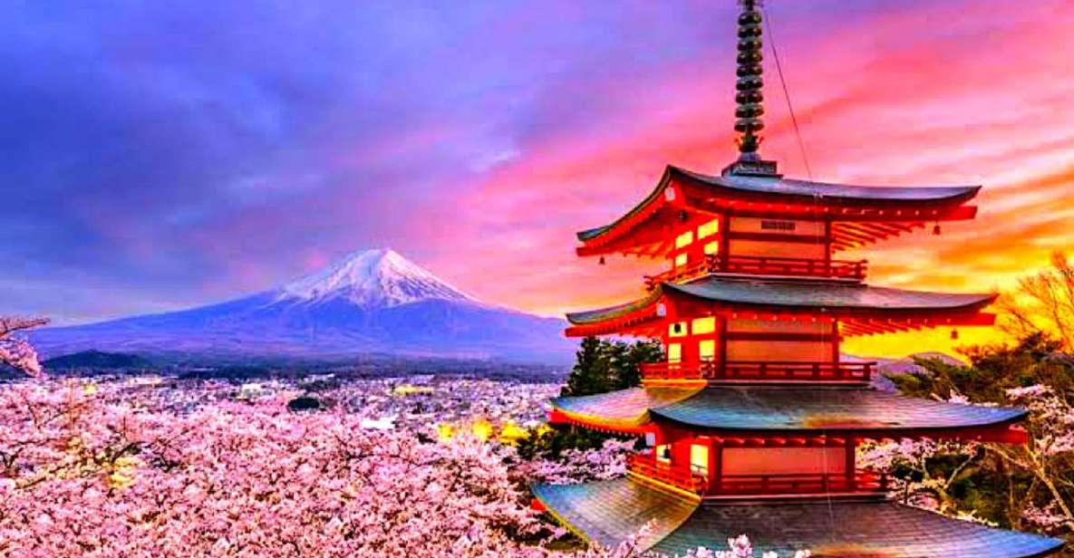 Private Guided Tour in Mount Fuji and Hakone - Tour Highlights
