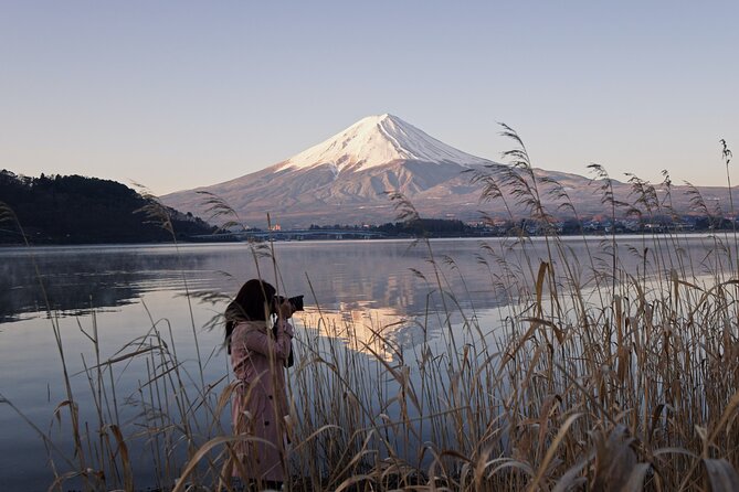 Private Mount Fuji Tour With English Speaking Chauffeur - Customizable Itinerary Options
