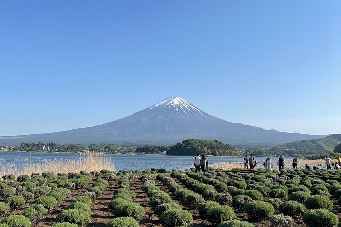 Private Tour to Mt Fuji and Hakone With English Speaking Driver - Meeting and Pickup