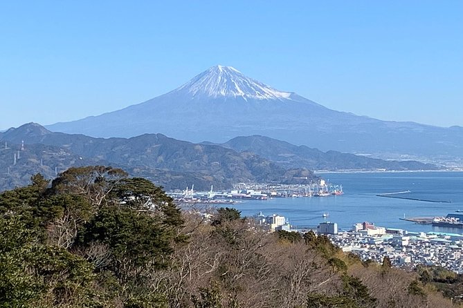 Sightseeing Around Shimizu Port for Cruise Ship Passengers - Combo Ticket for Various Local Attractions