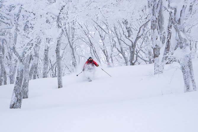 Ski or Snowboard Lesson in Shiga Kogen (4Hours) - Meeting and Pickup Details