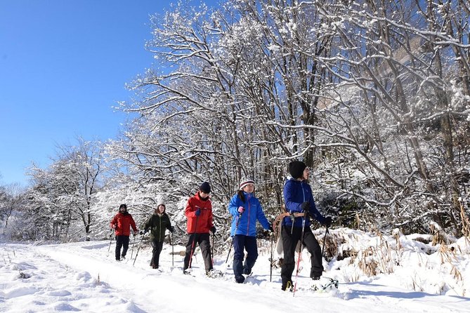 Snowshoe Hike Tour From Sapporo - Inclusions and Pricing