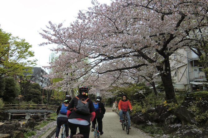 Tokyo by Bike: Skytree, Kiyosumi Garden and Sumo Stadium - Meeting Point and Start Time