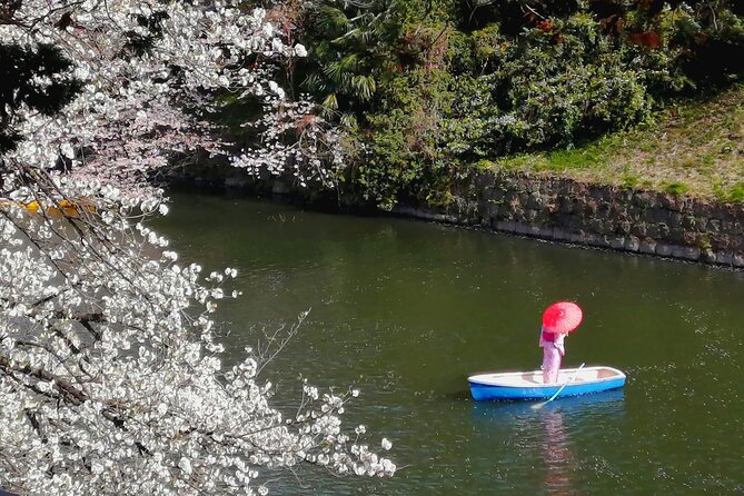 Tokyo Cherry Blossoms Blooming Spots E-Bike 3 Hour Tour - Insider Tips for Tourists