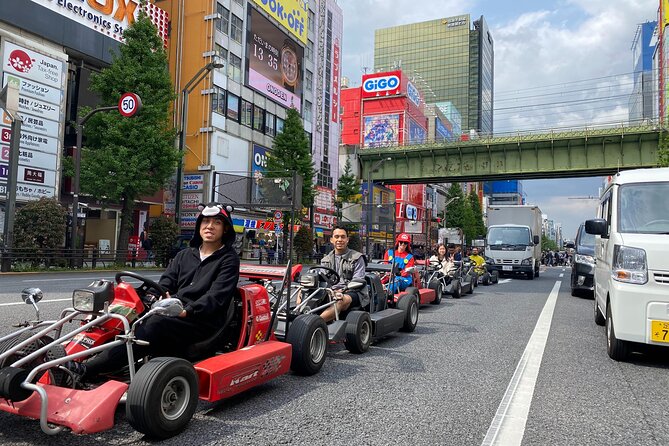 Tokyo Go-Kart Rental With Local Guide From Akihabara - Requirements