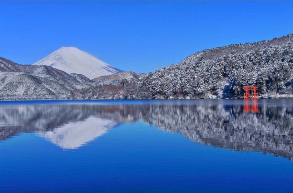 Tokyo: Mt Fuji Area, Lake Ashi, Owakudani, Onsen 1-Day Tour - Participants and Date