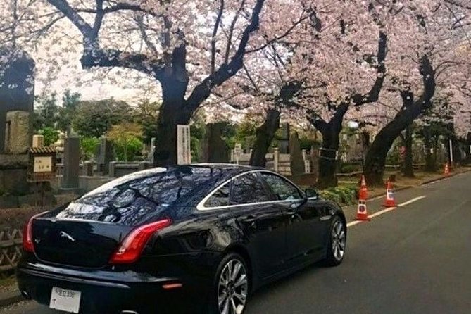 Tokyo Private Sightseeing Tour by English Speaking Chauffeur - Meeting and Pickup