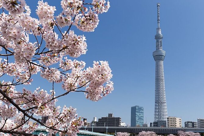 Tokyo Private Tour by Car/Van With English Speaking Driver - Inclusions and Exclusions