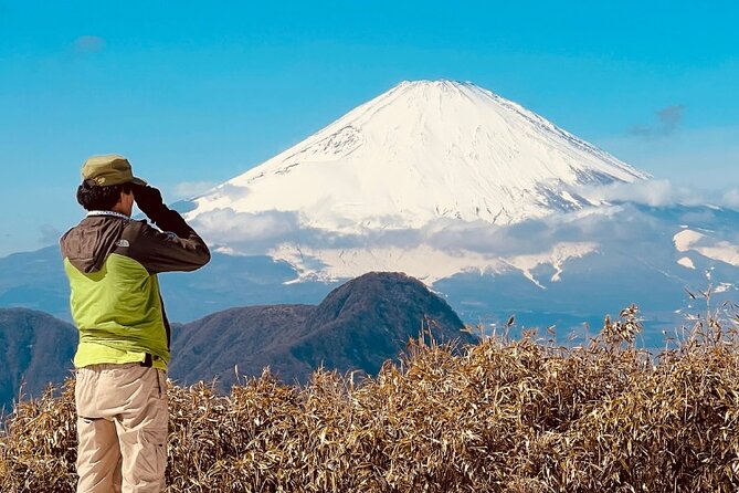 Traverse Outer Rim of Hakone Caldera and Enjoy Onsen Hiking Tour - Itinerary Highlights