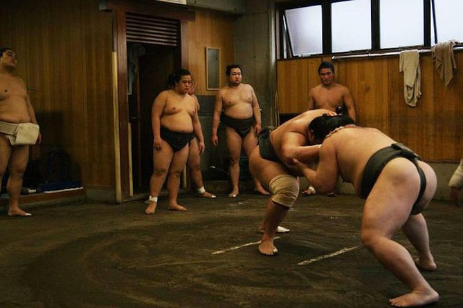 Watch Sumo Morning Practice at Stable in Tokyo - Expectations and Guidelines