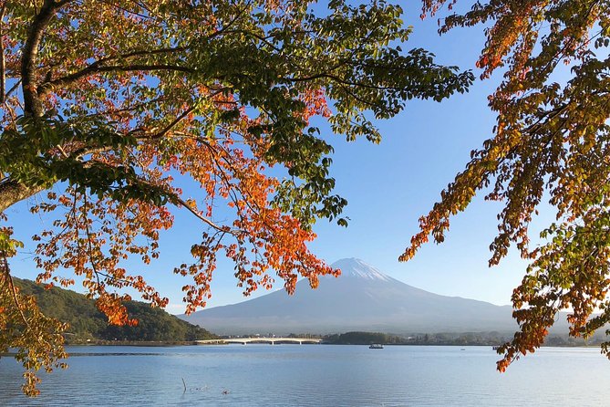 1 Day Charter Tour to Mt Fuji View - Professional English-Japanese Chauffeurs