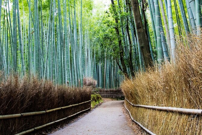 Arashiyama Bamboo Grove Day Trip From Kyoto With a Local: Private & Personalized - Additional Information