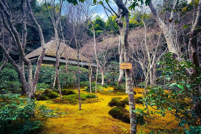 Deep Kyoto & Arashiyama Tour (Private Van - Full-English Guide) - Additional Information