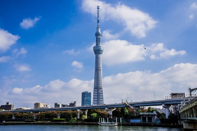 Freely Set up Plans Guided Private Tours in Tokyo - Customer Reviews