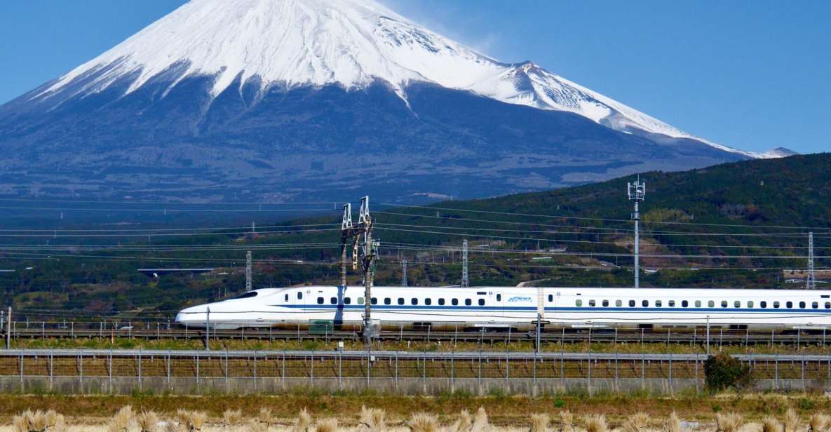 From Tokyo: Mt. Fuji & Hakone Tour W/ Return by Bullet Train - Transportation Options