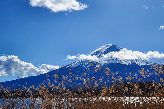 Full Day Mount Fuji Private Tour With English Speaking Guide - Cancellation Policy