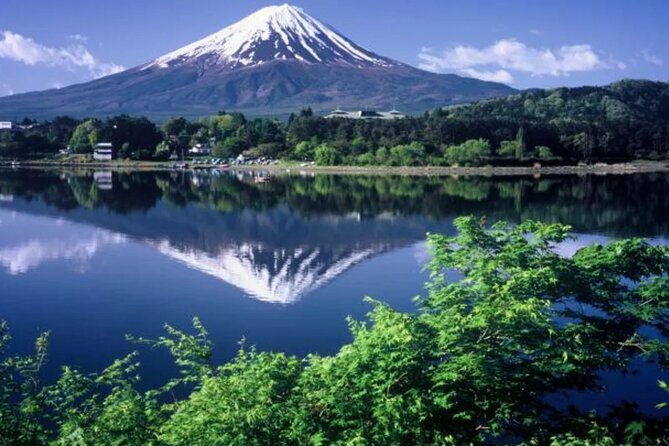 Full Day Private Tour To Mount Fuji Assisted By English Chauffeur - Reviews