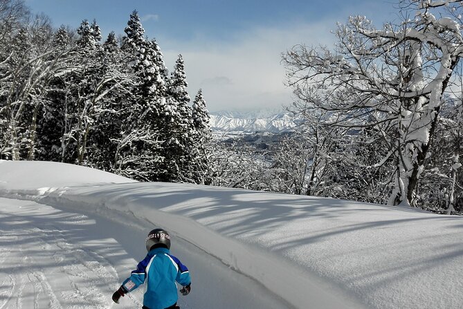 Full Day Ski Lesson (6 Hours) in Yuzawa, Japan - Additional Details