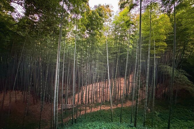 Green Tea Fields, Serene Beautiful Nature of Kyoto: Private Tour - Tour Highlights