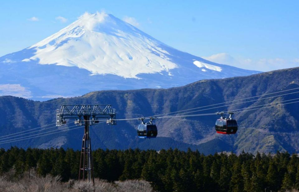 Hakone: 10-hour Customizable Private Tour - Pricing and Availability