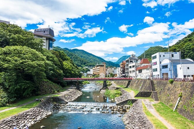 Hakone 8 Hour Private Tour With Government-Licensed Guide - Top-Rated Guides