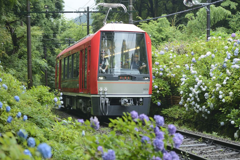 Hakone and Kamakura: 3-day Rail Pass - Transportation Included in the Pass