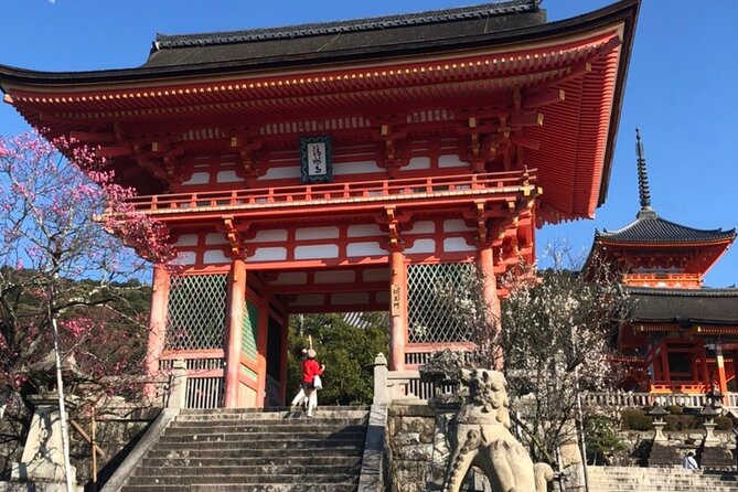 Hidden Gems, Kiyomizu-Temple and Fushimi-Inari Half Day Private - Tour Itinerary