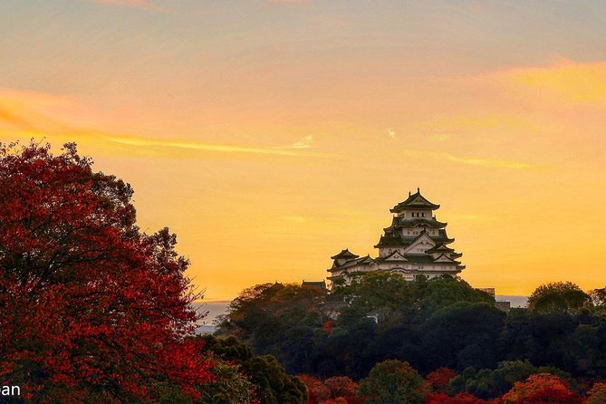 Himeji Half-Day Private Tour With Government-Licensed Guide - Additional Information