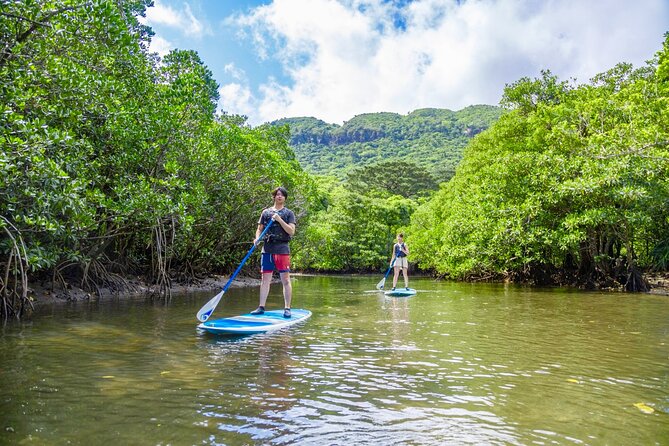 [Iriomote]Sup/Canoe Tour + Sightseeing in Yubujima Island - Requirements and Cancellation Policy