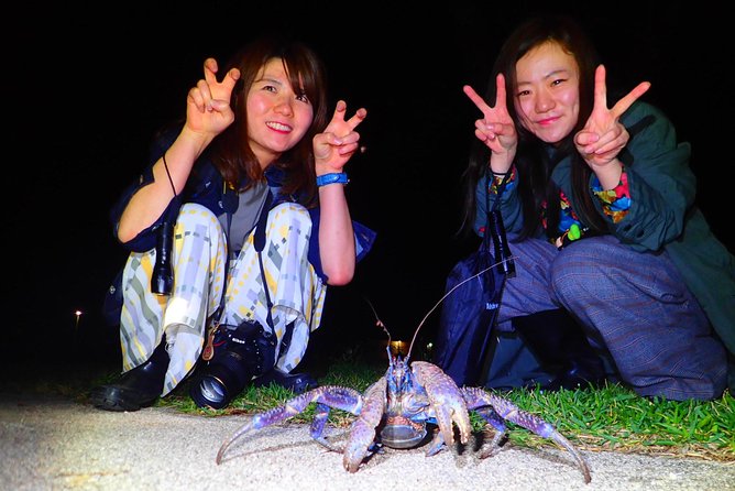 [Ishigaki] Night Jungle Tour - Special Offers and Discounts