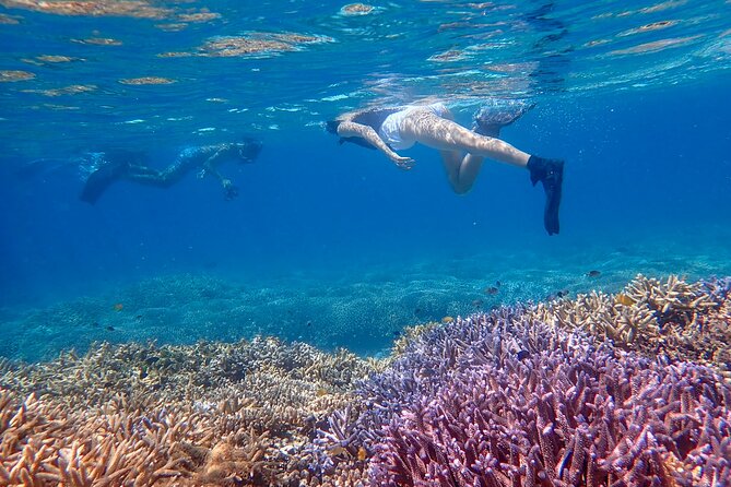 [Ishigaki]Phantom Island Snorkeling+ Taketomi Island Sightseeing - Cancellation Policy