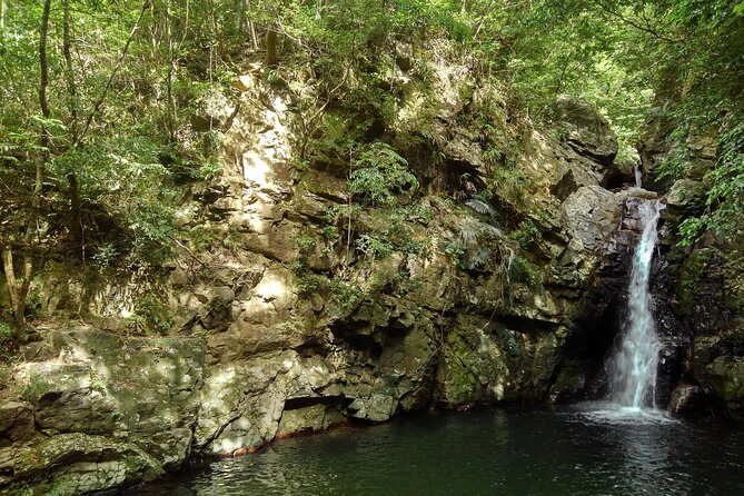 Jungle River Trek: Private Tour in Yanbaru, North Okinawa - Tour Logistics