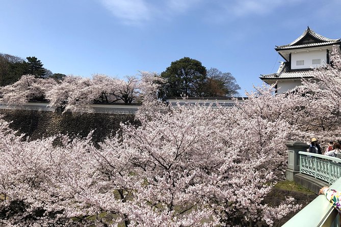 Kanazawa Highlights Tour Including Kenrokuen Garden - Suzuki Daisetsu Museum Visit