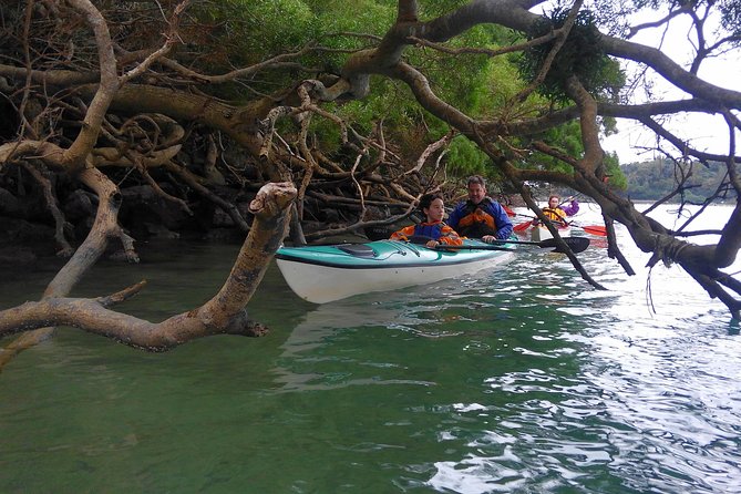 Kayak Mangroves or Coral Reef: Private Tour in North Okinawa - Customer Reviews
