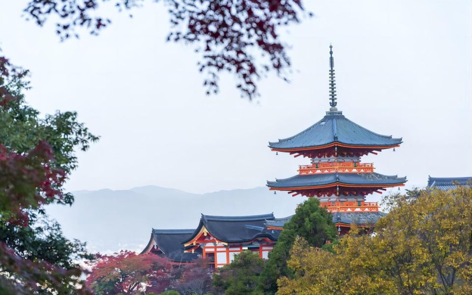 Kyoto: 10-Hour Customizable Private Tour With Hotel Transfer - Customizable Itinerary
