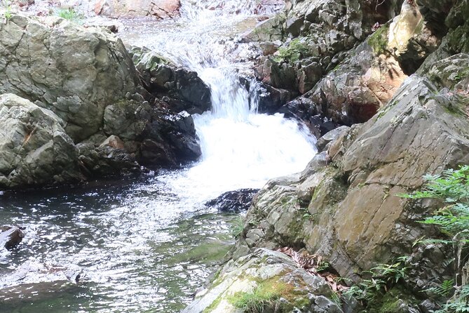 Minoh Waterfall and Nature Walk Through the Minoh Park - Inclusions in the Tour Package