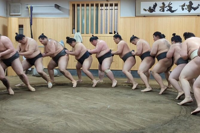 Morning Sumo Practice Viewing in Tokyo - Reviews