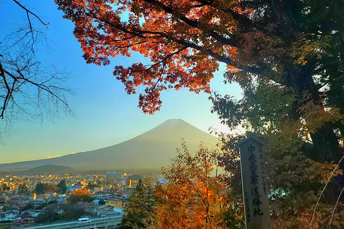 Mount Fuji and Hakone Full Day Private Sightseeing Tour - Cancellation Policy