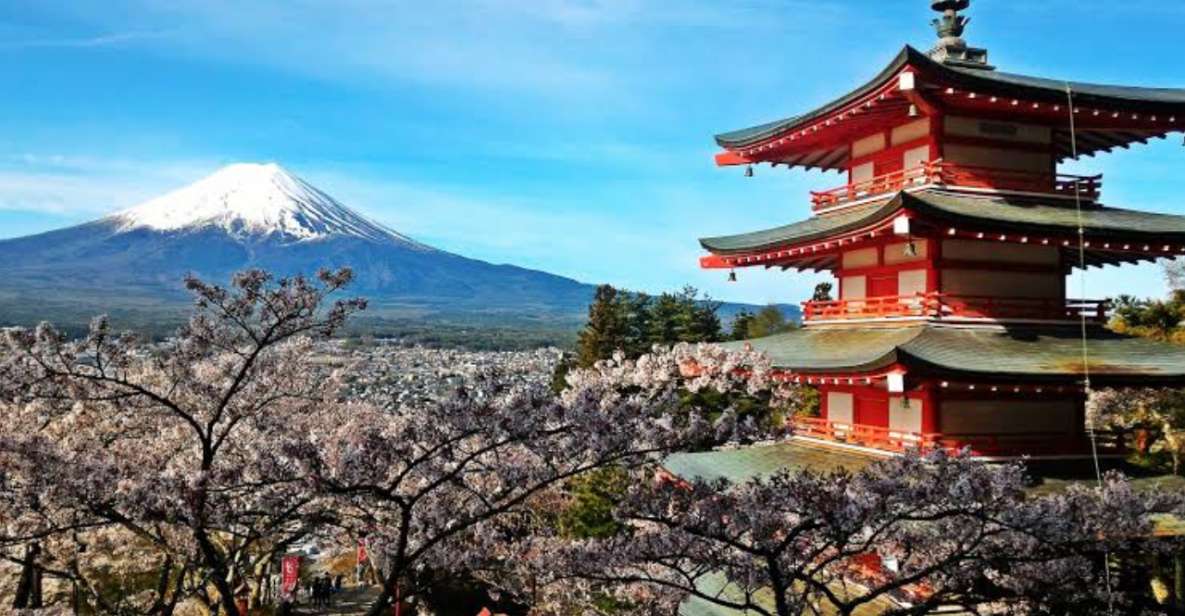Mount Fuji Full Day Private Tour in English Speaking Guide - Inclusions