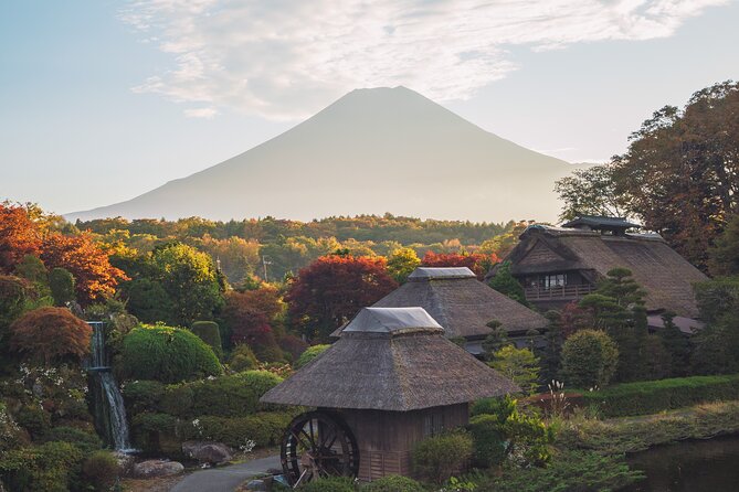 Mt Fuji :1-Day Private Tour With English-Speaking Driver - Guide Details and Expertise