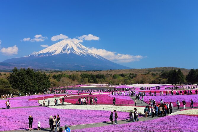 Mt. Fuji, Hakone Full-Day Private Tour With English Driver Guide - Customer Feedback