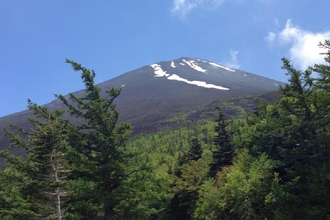 Mt Fuji, Hakone, Lake Ashi Cruise 1 Day Bus Trip From Tokyo - Traveler Reviews
