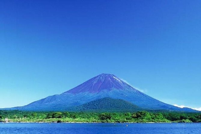 Mt Fuji, Hakone Lake Ashi Cruise Bullet Train Day Trip From Tokyo - Customer Reviews