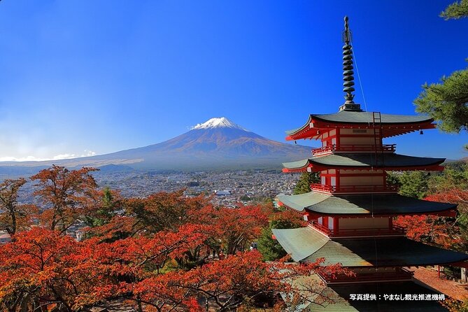 Mt.Fuji, Oishi Park & Arakurayama Sengen Park Bus Tour From Tokyo - Booking Information