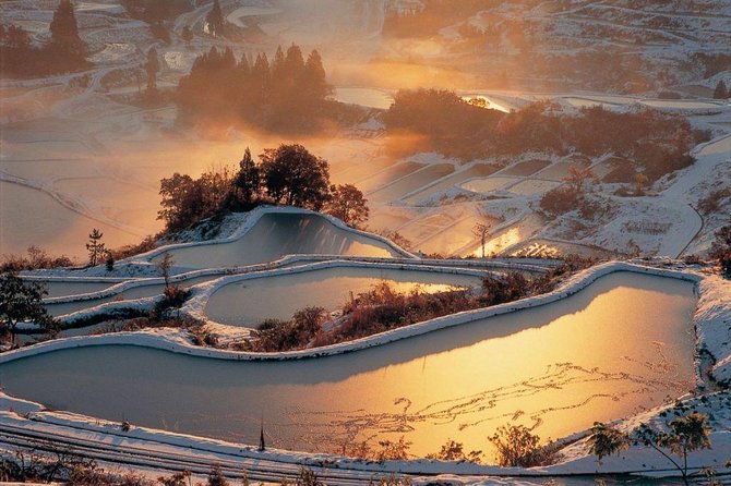 Niigata Full-Day Private Tour With Government-Licensed Guide - Customer Reviews