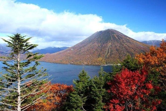 Nikko Full-Day Private Tour With Government-Licensed Guide - Tour Itinerary Options